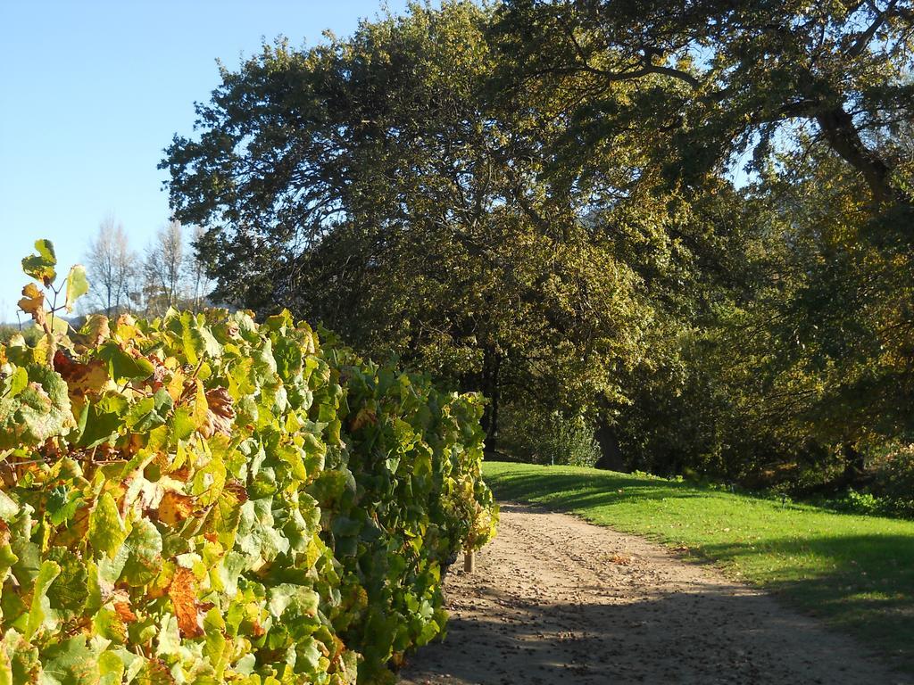 Auberge Clermont Franschhoek Luaran gambar