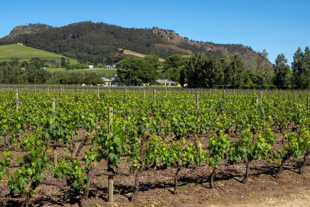Auberge Clermont Franschhoek Luaran gambar