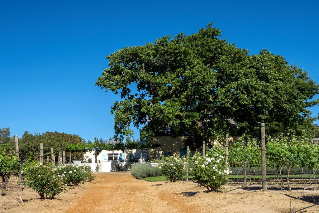 Auberge Clermont Franschhoek Luaran gambar