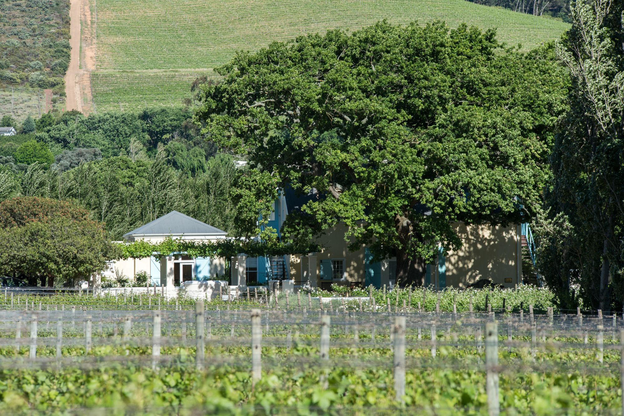 Auberge Clermont Franschhoek Luaran gambar